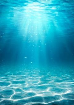 沈んでいった、何もかも。