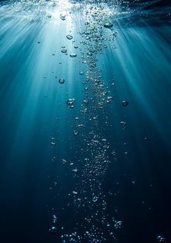 想いは沈んでも尚生きる