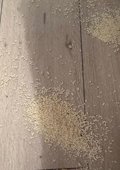これに勝てる人います？