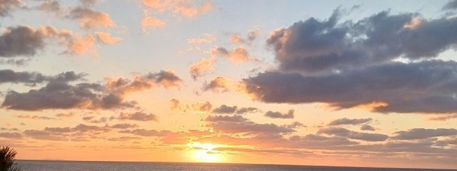 タロコさんの壁紙画像