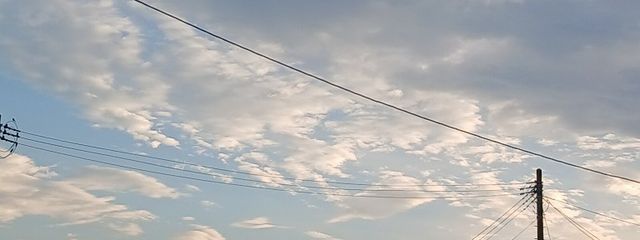    海月(くらげ)さんの壁紙画像