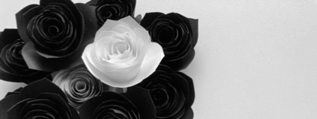 白夜🖤🤍さんの壁紙画像