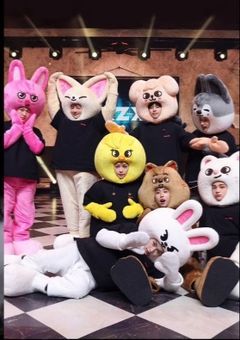 ソロアイドルのあなた、straykidsにすごく好かれているようで