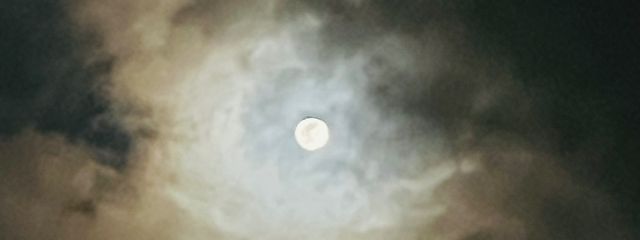 ARIS@更新再開しました！さんの壁紙画像