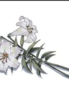 俺と関わる上での俺の特徴や、性質。