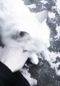 #　いかないで　．