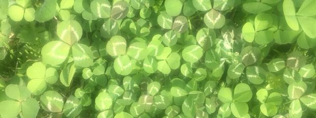 모모 / ｍｏｍｏ𓂃𓈒🍀𓏸&nbsp;さんの壁紙画像