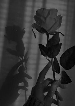 # まだ君の傍に居たかった .