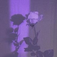 喜 劇 王 , さんのアイコン画像