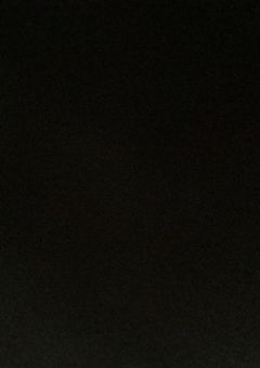 あの黒い＿＿は誰？