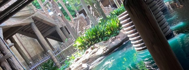 せいあさんの壁紙画像