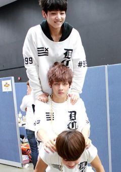 大型犬2匹を死にながら世話してます