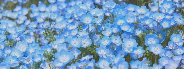 天姫ㄘゃƕさんの壁紙画像