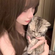 みたらし団子🍡🌙💐🕊‎さんのアイコン画像