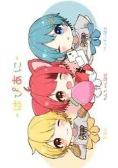はぴあにの中に入った猫