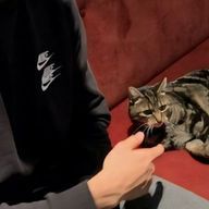 やくや。さんのアイコン画像