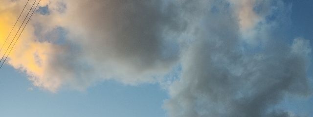 子猫❤️💚🖤💛🩵💙さんの壁紙画像