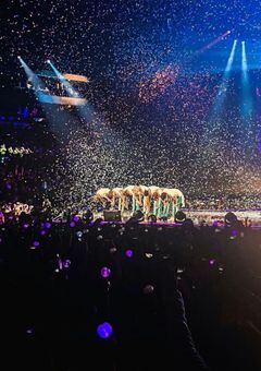 君に会うために今日も僕はフリをする