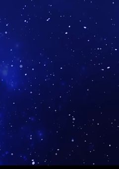 大嫌いなはずだった    。