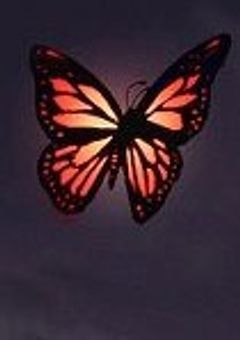 今日も今日とて夜廻る