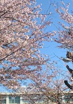 Raum zum Lernen　（勉強べっや）