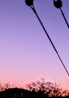 隠さない 隠せない I Love You