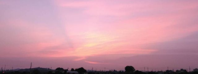 ゆきさんの壁紙画像