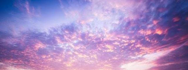 あーもんどさんの壁紙画像