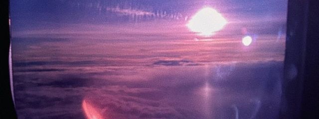 うじゅまるさんの壁紙画像