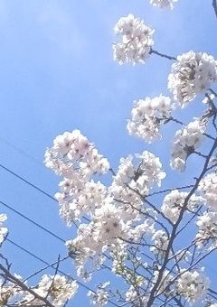好きなんだから、いーじゃないっ