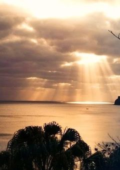 【公式】エンジェルラダー事務所