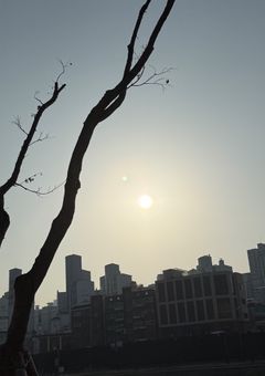 学校のPrinceに恋をしてしまった件について