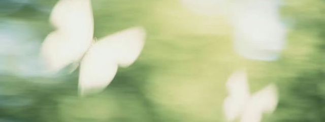 みりんです- ̗̀( ˶^ᵕ'˶)bさんの壁紙画像