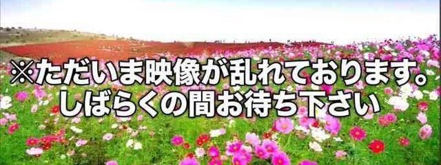 つきさんの壁紙画像