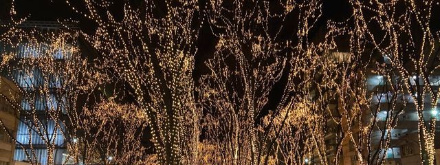 めりしゃんさんの壁紙画像