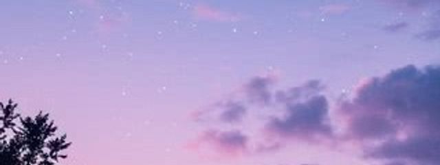 星波 向日葵さんの壁紙画像