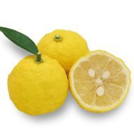 ゆずれもんさんのアイコン画像