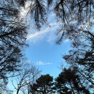 名無し😽ᩚさんのアイコン画像