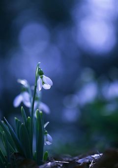 堕ちる僕は今日も息をする