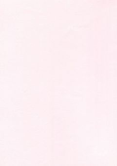 ───  リセット  ボタン  ，