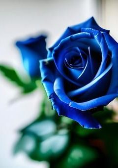 僕達を繋ぐ、解けない糸