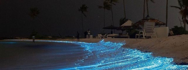 一瀬さんの壁紙画像