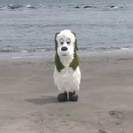 Rizunaさんのアイコン画像