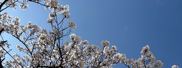奈々さんの壁紙画像