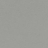 塩漬けさんのアイコン画像