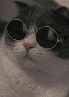 新入りは認めないぞ。