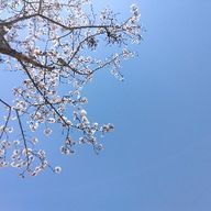 ゆな🧸🎀さんのアイコン画像