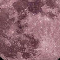 나비さんのアイコン画像