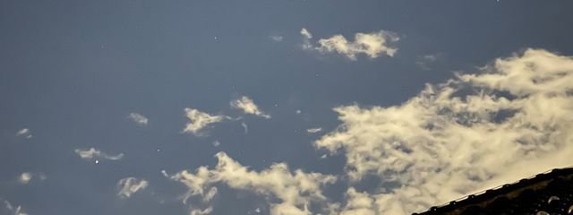 Tsubaki Yukiyanagi@低浮上さんの壁紙画像