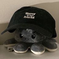 Tsubaki Yukiyanagi@低浮上さんのアイコン画像